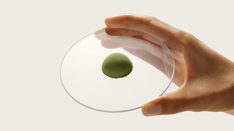 A scoop of moringa powder on a glass dish